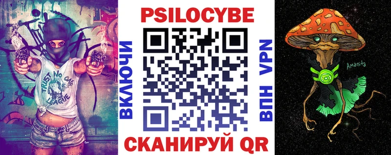 Псилоцибиновые грибы Psilocybe  Находка 