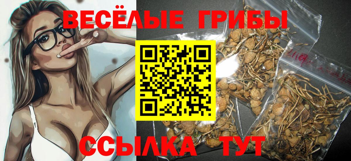 Кокаин Находка