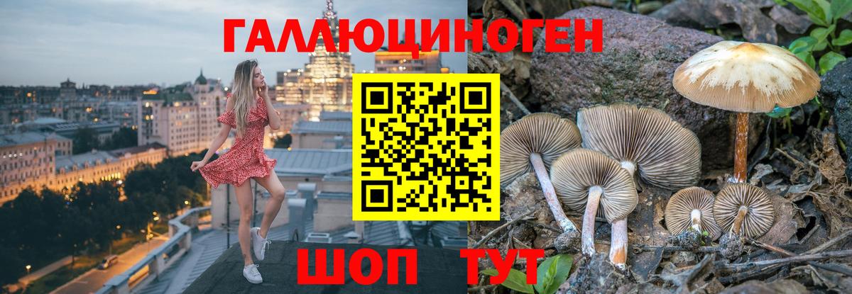 Галлюциногенные грибы мицелий  купить   Находка  Вход с VPN 